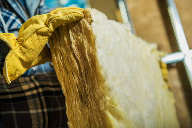 Best Eco-Friendly Insulation in Eupora, MS
