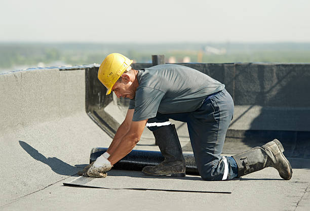 Best DIY Insulation Kits and Guidance in Eupora, MS